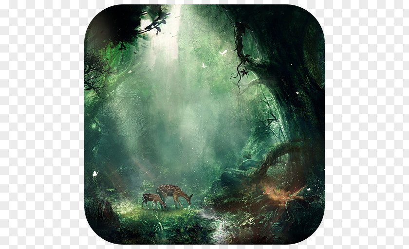 Forest Fantasy Desktop Wallpaper PNG