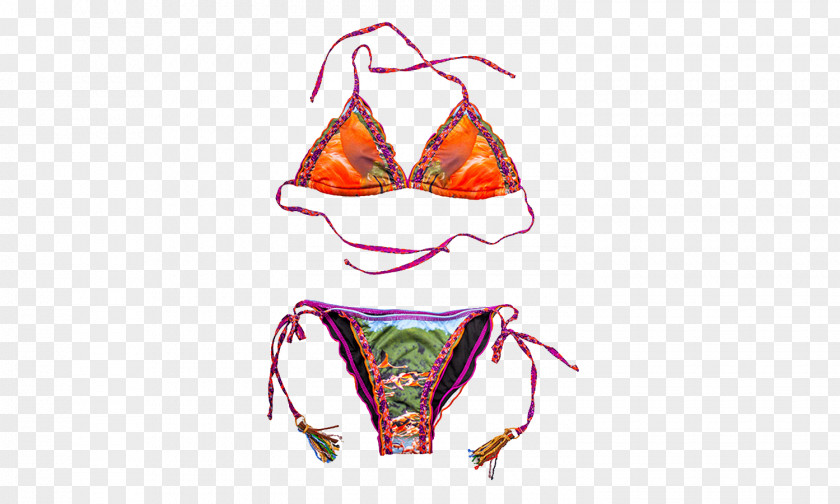 Illustration PNG Illustration, AGUA,BENDITA Agua This Dita Flamingo bikini clipart PNG