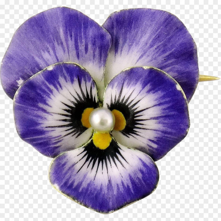 Jewellery Pansy Earring Brooch Violet PNG