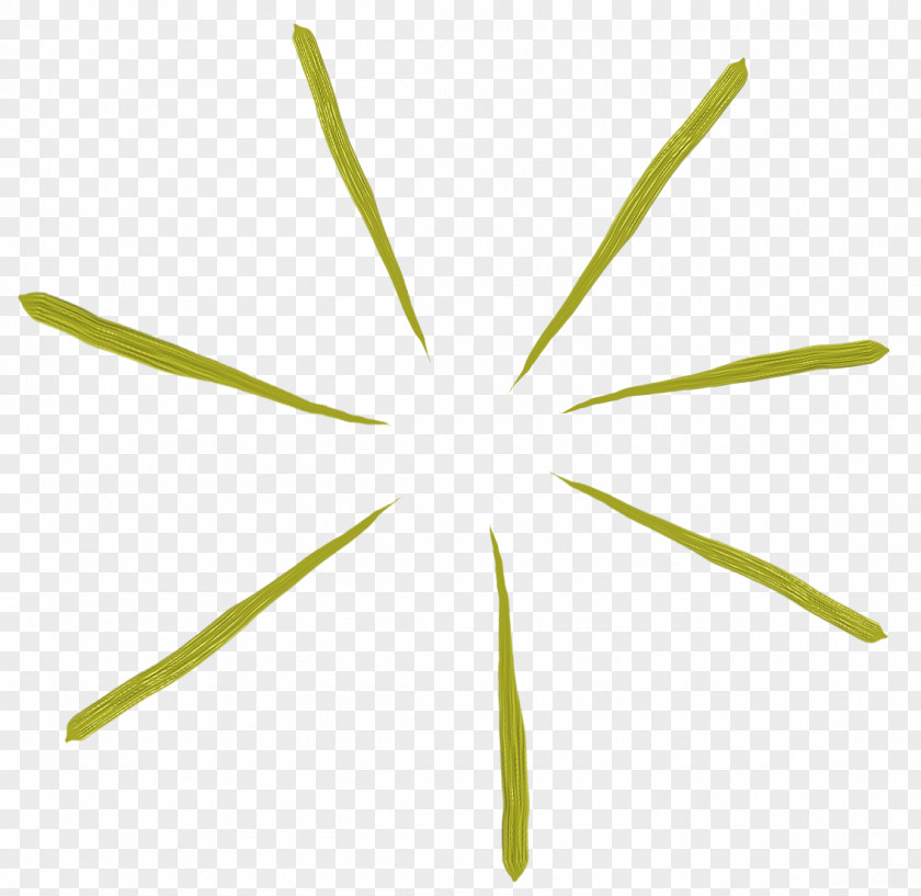 Line Pattern Lines Creative Green Leaf PNG