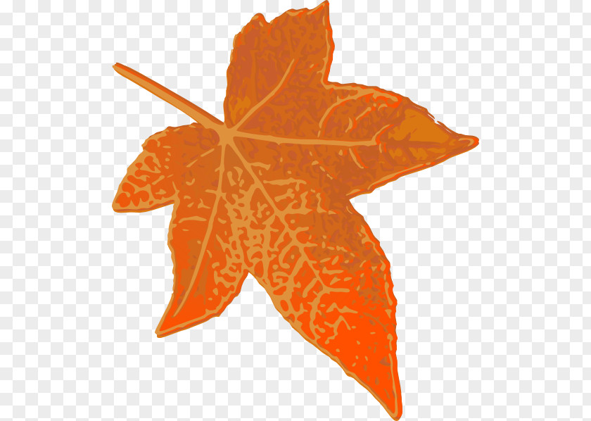 Maple Leaf Orange Clip Art PNG