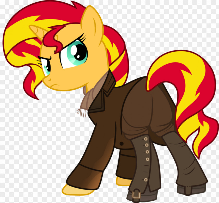 Sunset Glow Shimmer Twilight Sparkle Pony Rarity Doctor PNG