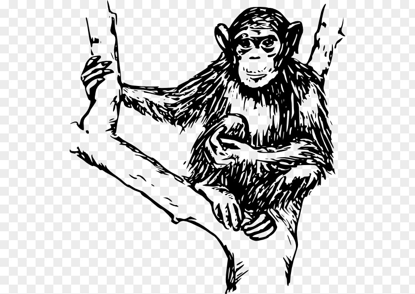 Chimpanzee Ape Monkey Clip Art PNG