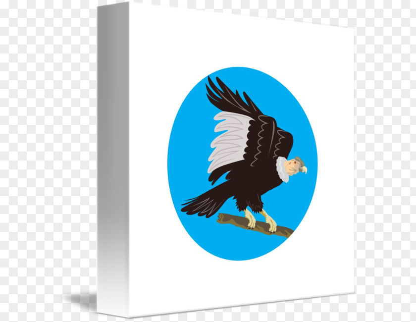 Circle Bald Eagle Art PNG