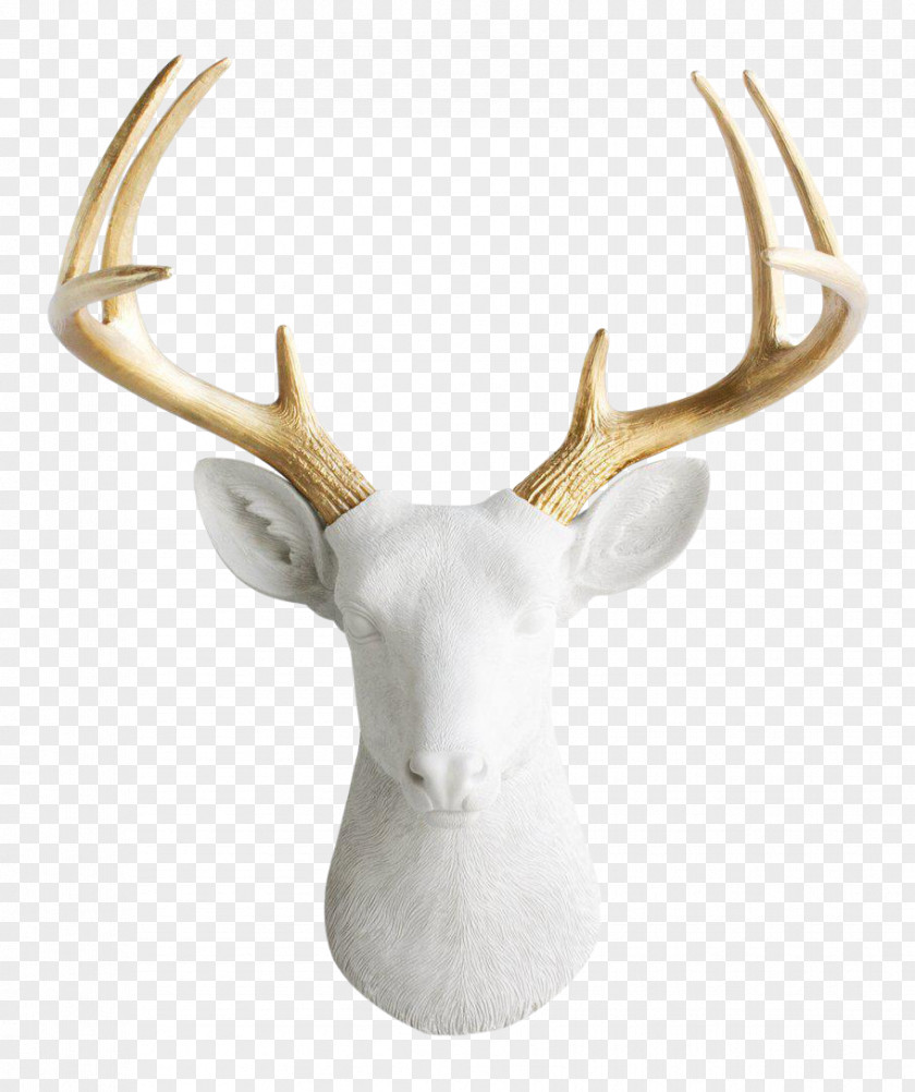 Deer Head White-tailed Antler Taxidermy Wall Decal PNG
