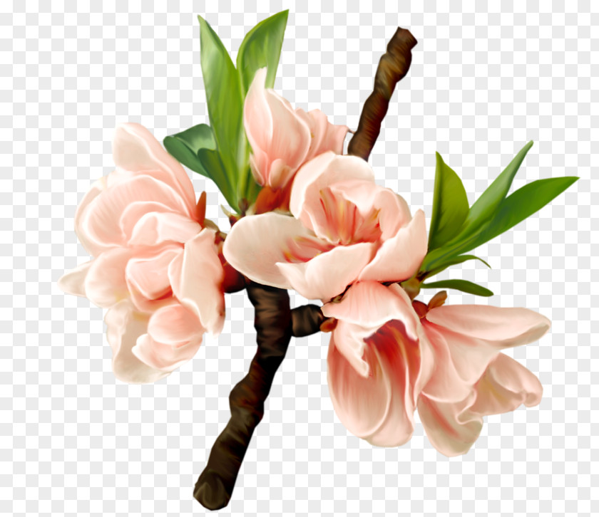 Design Floral Flower Drawing PNG