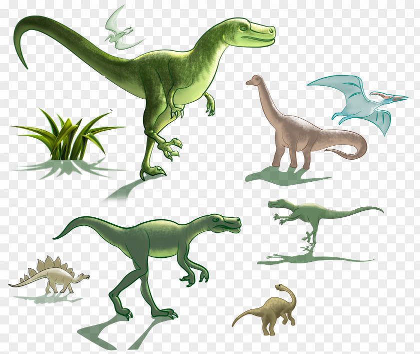 Dinosaur Velociraptor Tyrannosaurus Graphics Illustration PNG