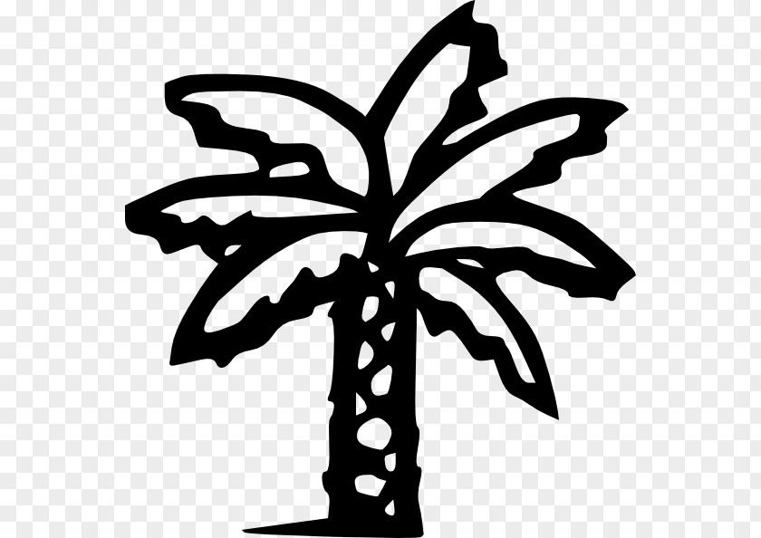 Palmetto Cliparts Arecaceae Clip Art PNG