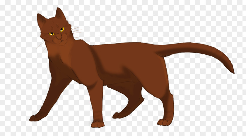 Cat Warriors Erin Hunter The Darkest Hour Crookedstar's Promise PNG