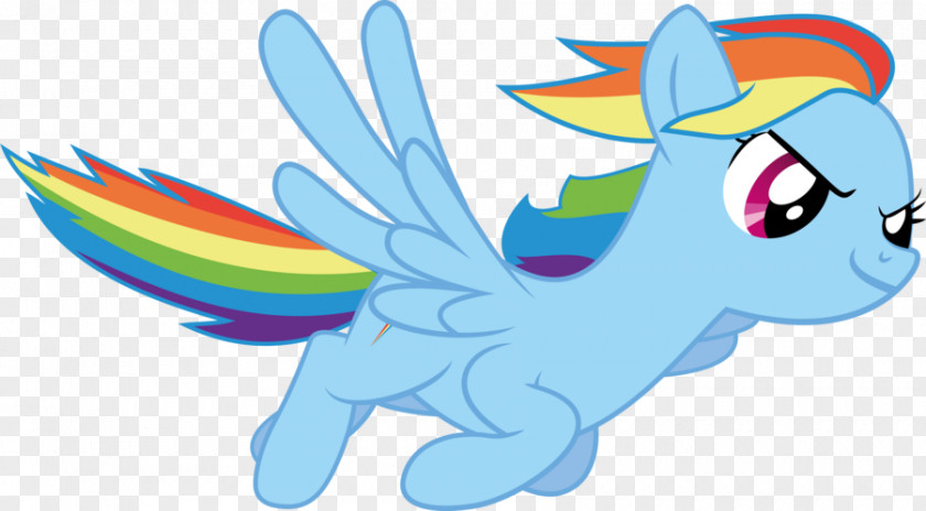 My Little Pony Rainbow Dash Pinkie Pie Rarity Twilight Sparkle PNG