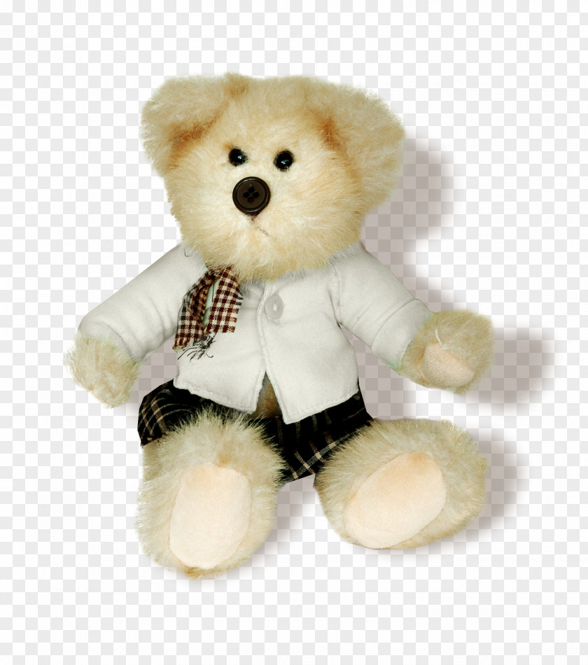 Bear Toy Latticework PNG