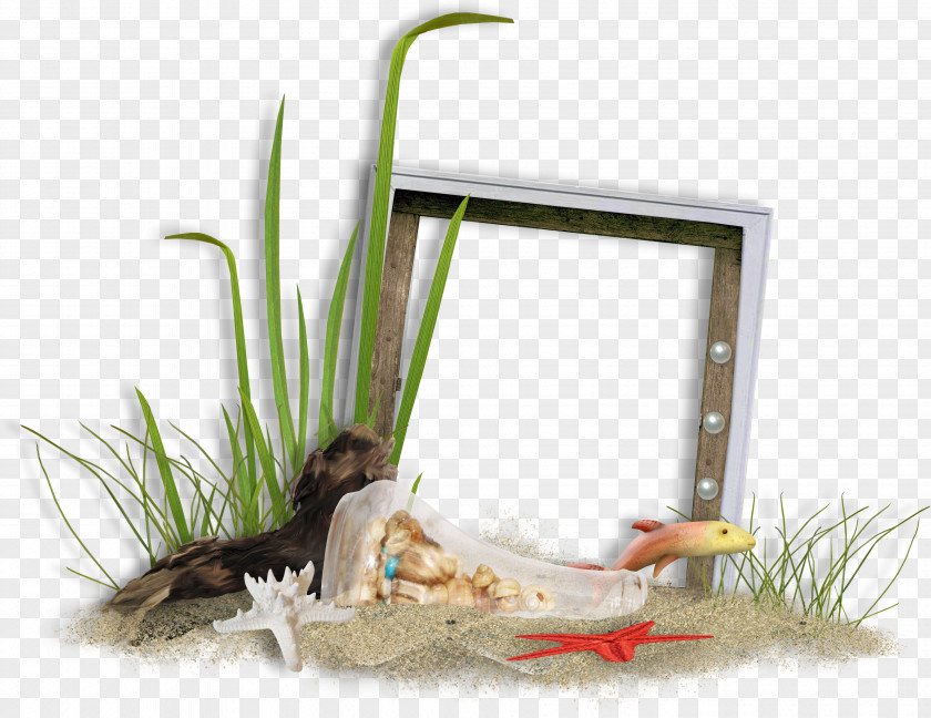 Fish Grass Wooden Frame Picture Clip Art PNG