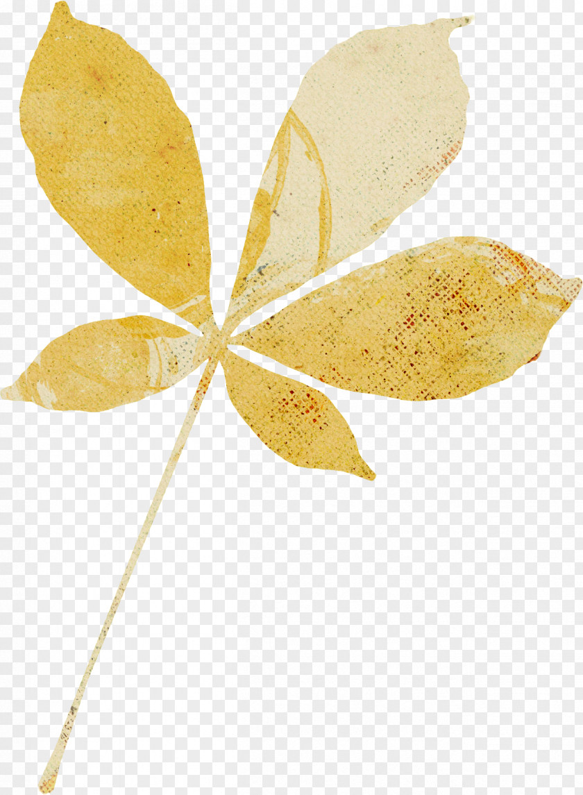 Leaves Watercolor Leaf Clip Art Photography Осенние листья PNG