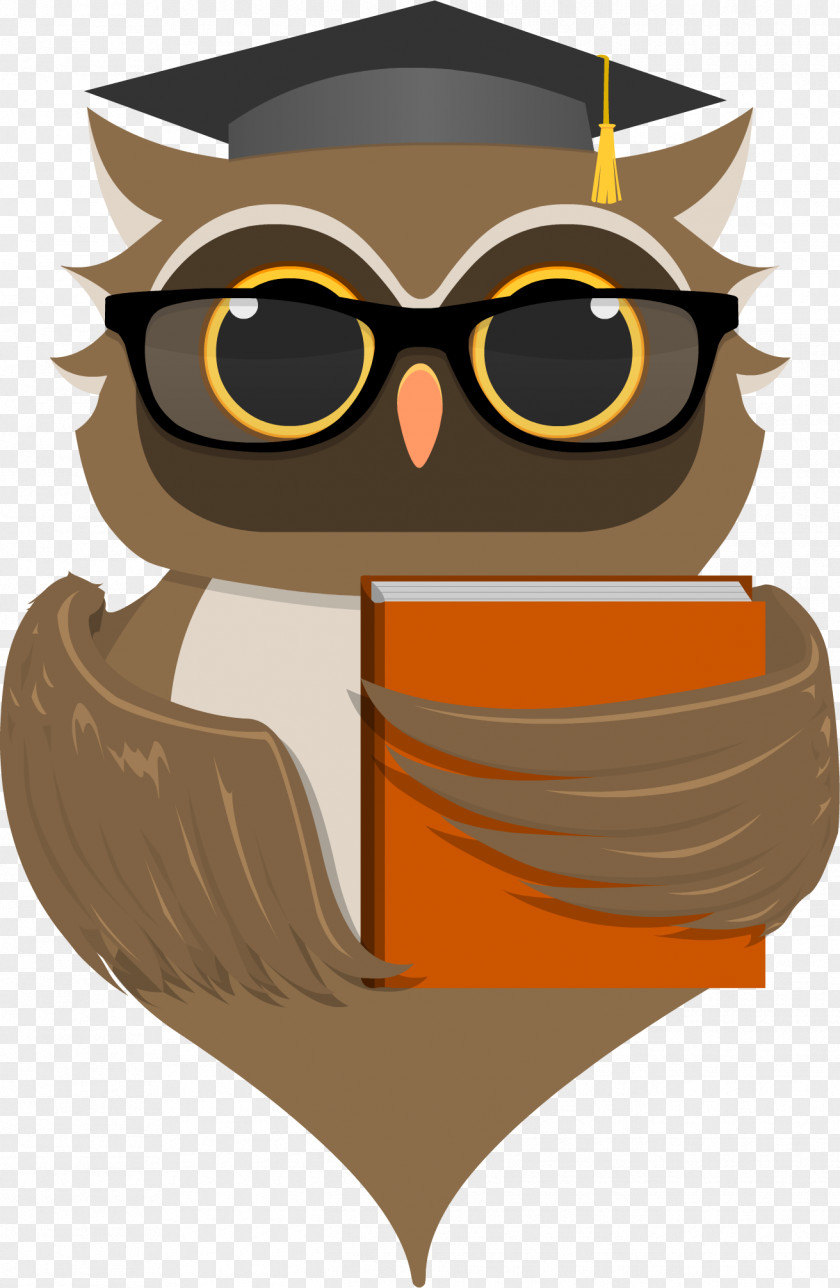 Owl Bird Clip Art PNG