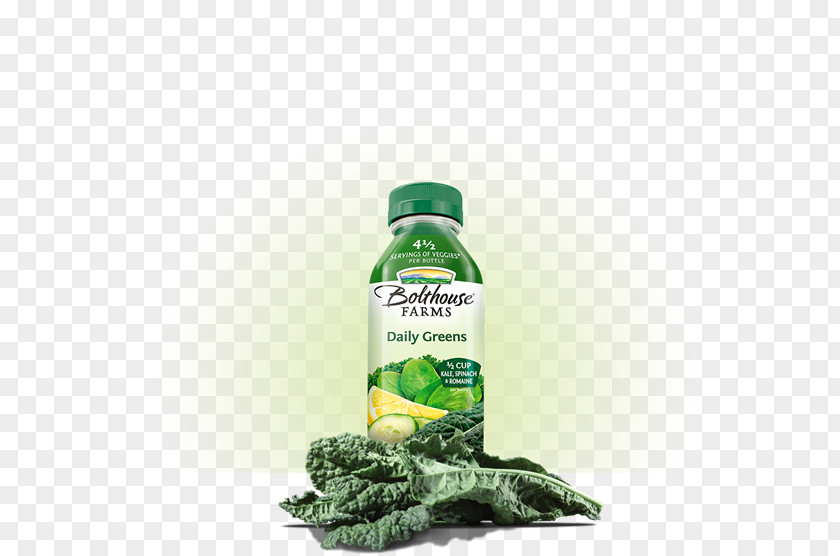 Smoothie Apple Juice Juicer Vegetable PNG