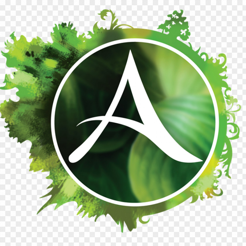 Archeage Sign ArcheAge Massively Multiplayer Online Game Video Games PNG