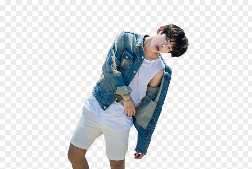 BTS BOY IN LUV K-pop Wings PNG