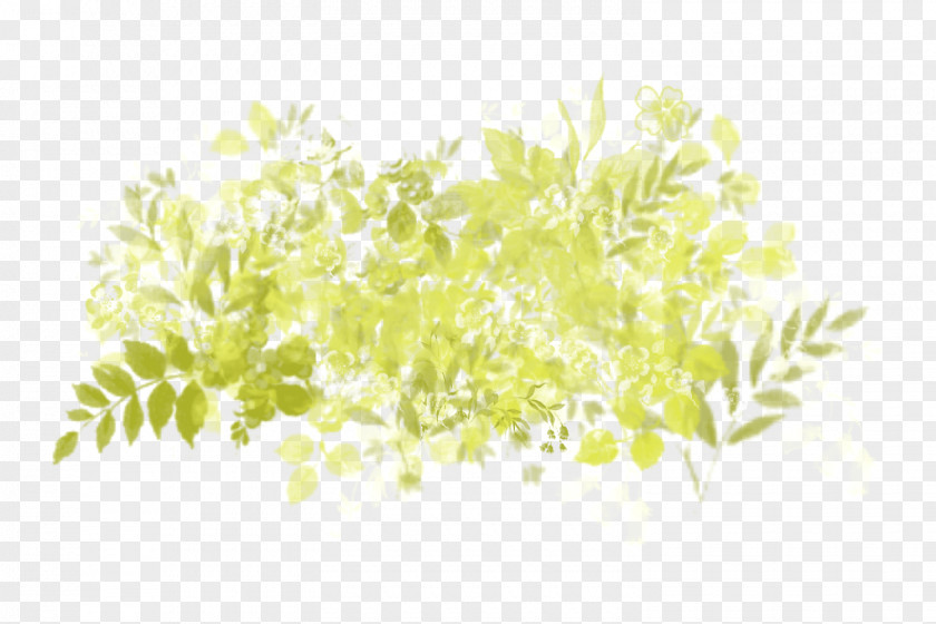 Computer Desktop Wallpaper Commodity Herb Plant Stem PNG