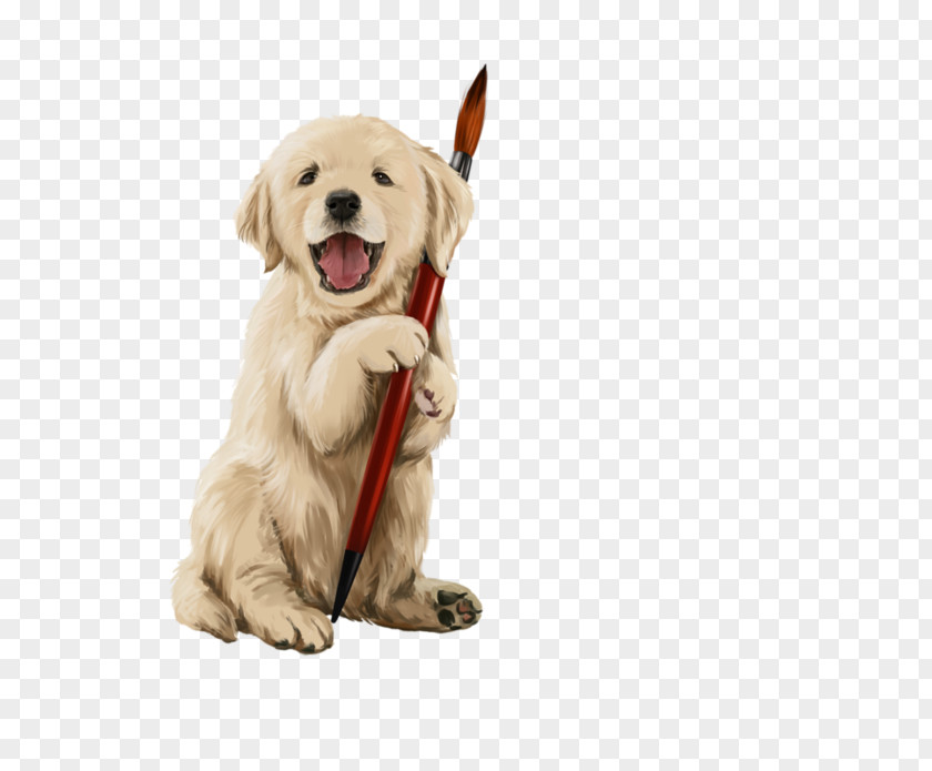 Golden Retriever Labrador Puppy Clip Art Illustration PNG