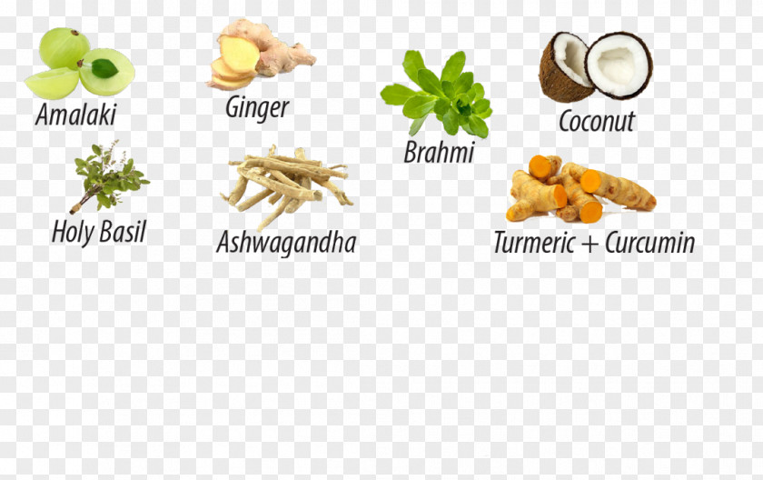 Health Turmeric Food Golden Milk Ginger PNG