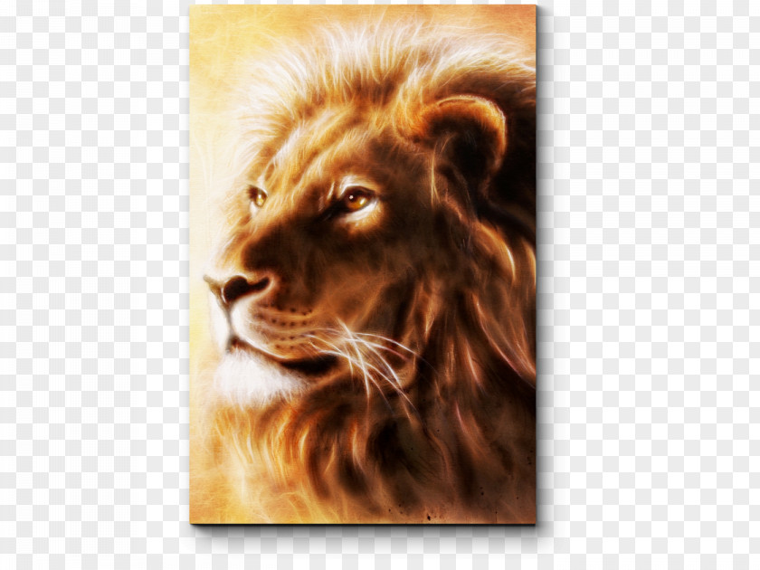 Lion Painting Airbrush Art Drawing PNG