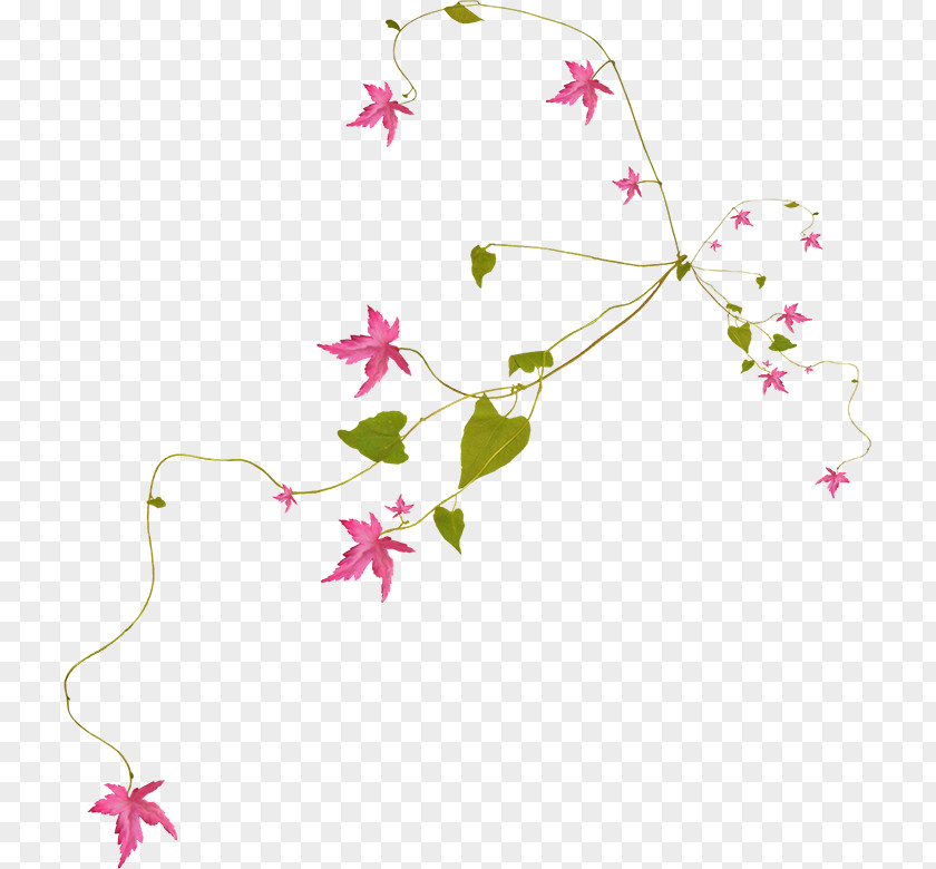 Decorative Grass Rattan Material Flower Branch Petal Paper PNG