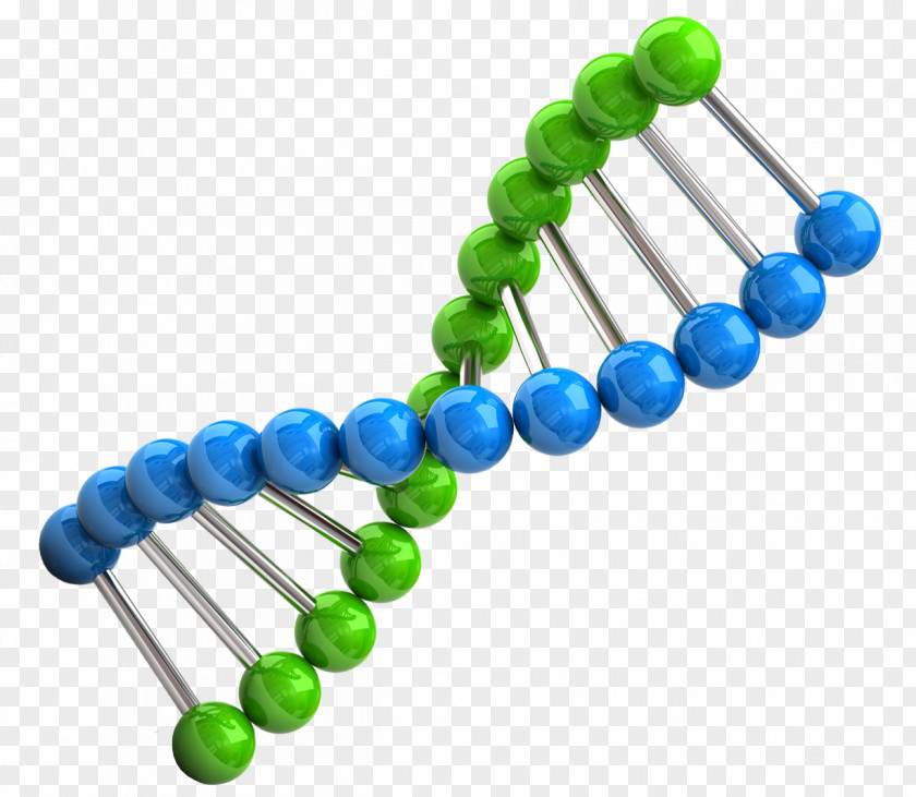 DNA Amazon.com Amazon Alexa Chromosome PNG