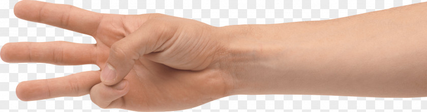 Hands Hand Image Finger Thumb PNG