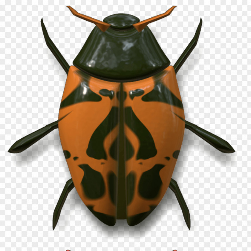 Ladybug Insect Animal Arthropod PNG