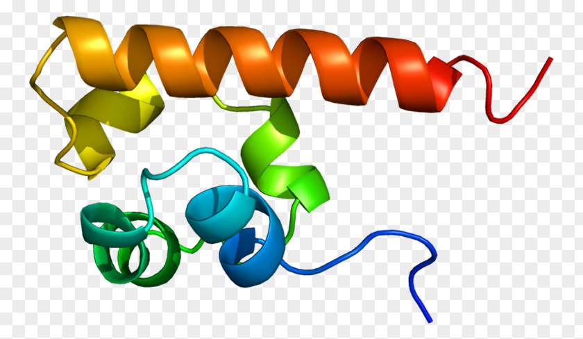 EPH Receptor A4 Ephrin Tyrosine Kinase PNG