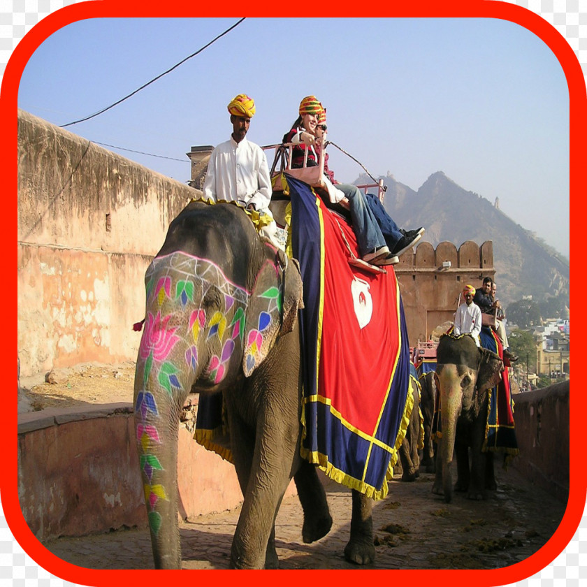 Sonepur Cattle Fair Elephantidae Rajasthan Travel Ganesha PNG