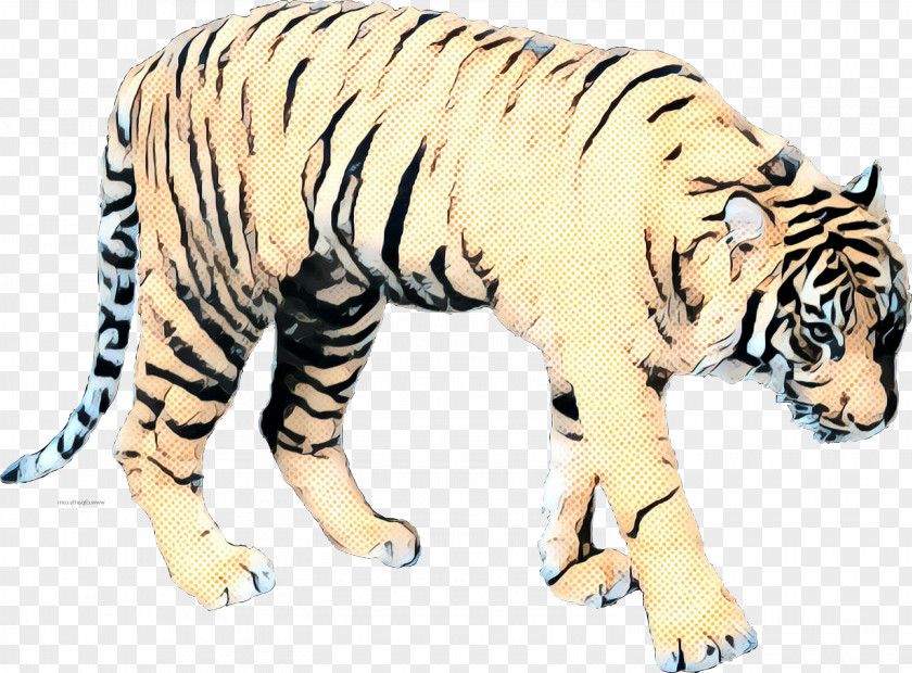 Tiger Wildcat Terrestrial Animal Big Cat PNG