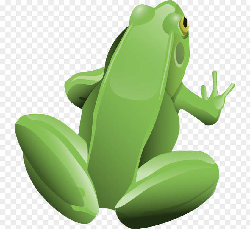 Tree Top View Frog Clip Art PNG