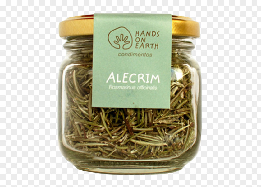 Alecrim Hōjicha Spice Flavor PNG