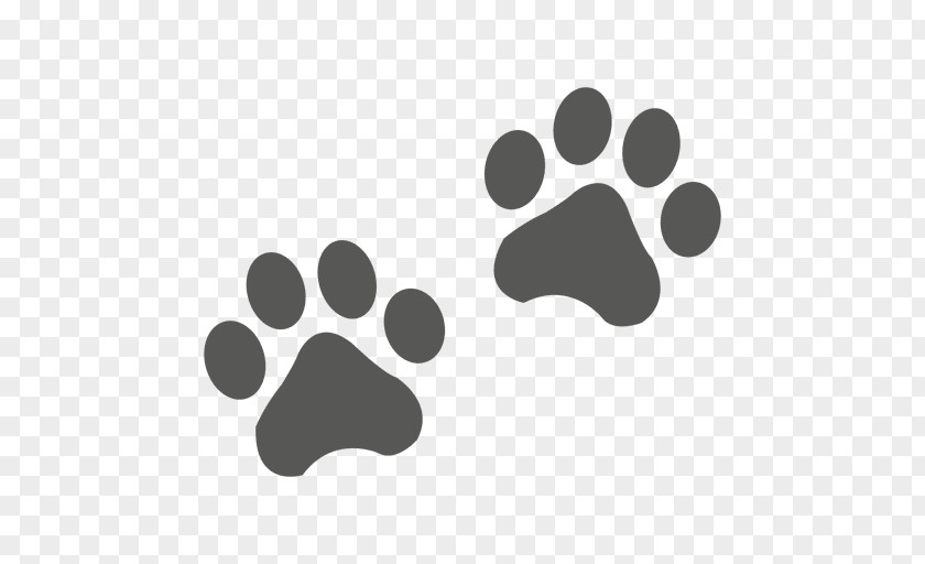 Cat Footprint Bear Animal Track Paw PNG