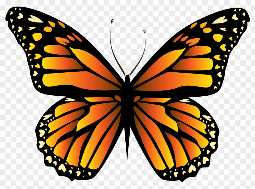 Orange Butterfly Clipar Monarch Insect Clip Art PNG