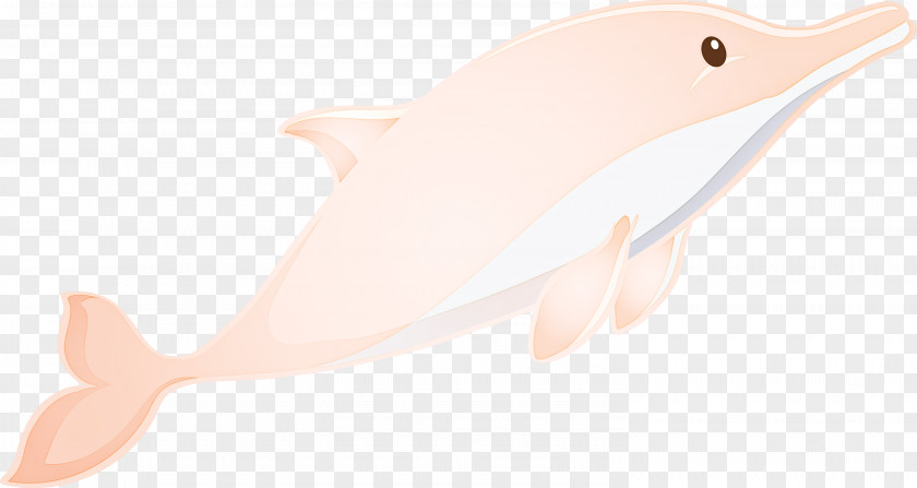 Pink Cetacea Dolphin Fish Whale PNG