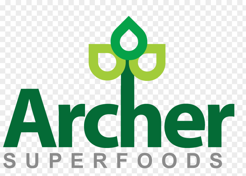 Semi Circular Arc Logo Brand Green Font PNG