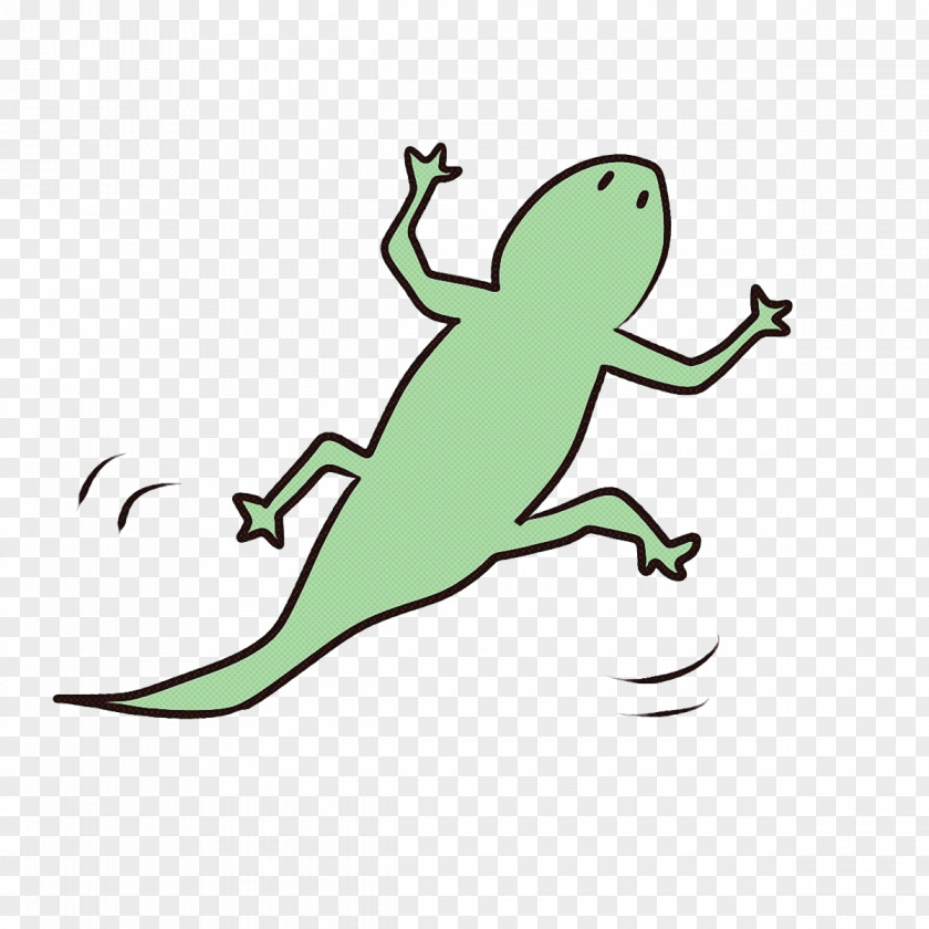 Amphibians Reptiles Drawing Human Skeleton Cartoon PNG