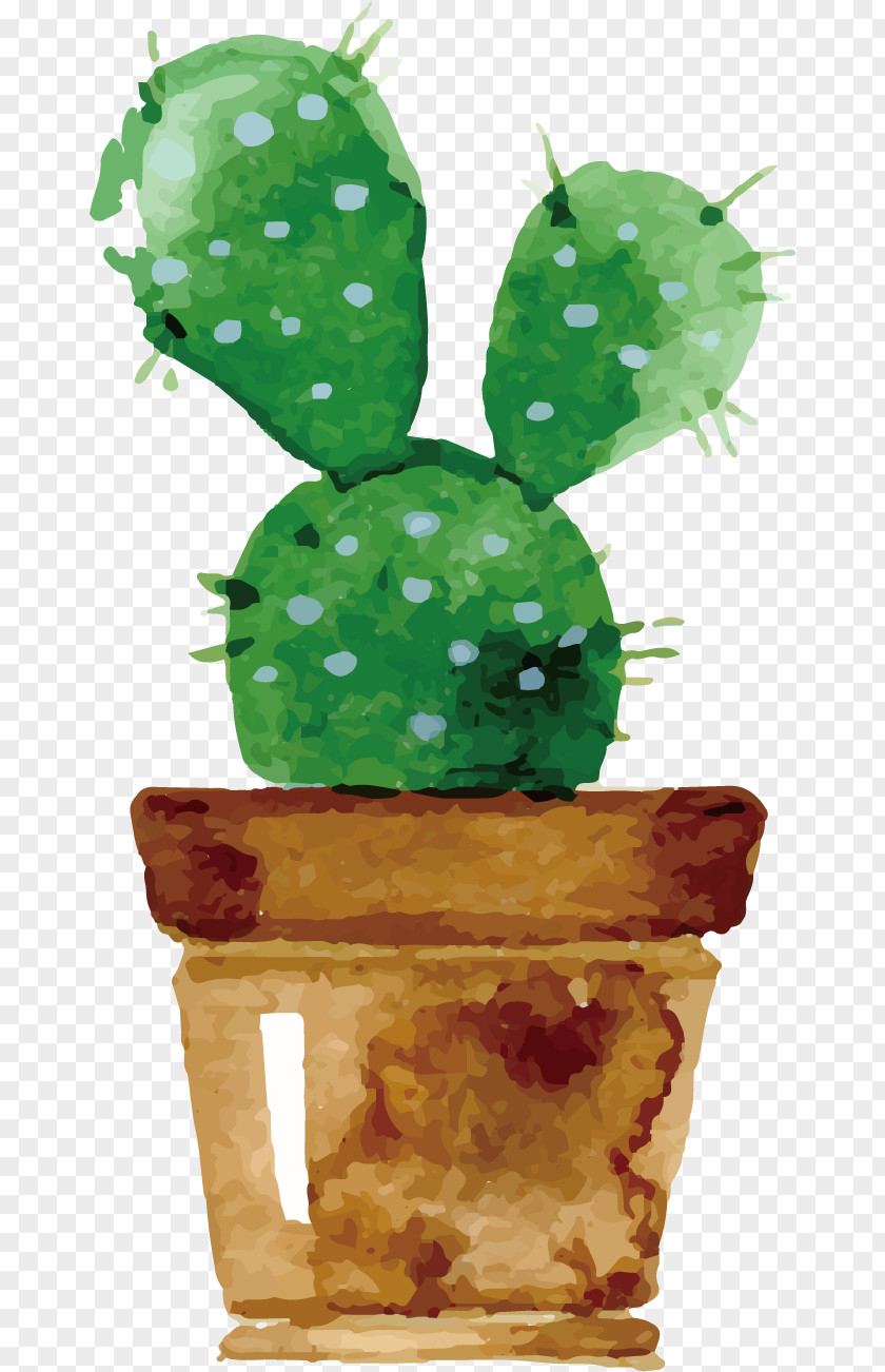 Cactus Watercolor Painting Succulent Plant Drawing PNG