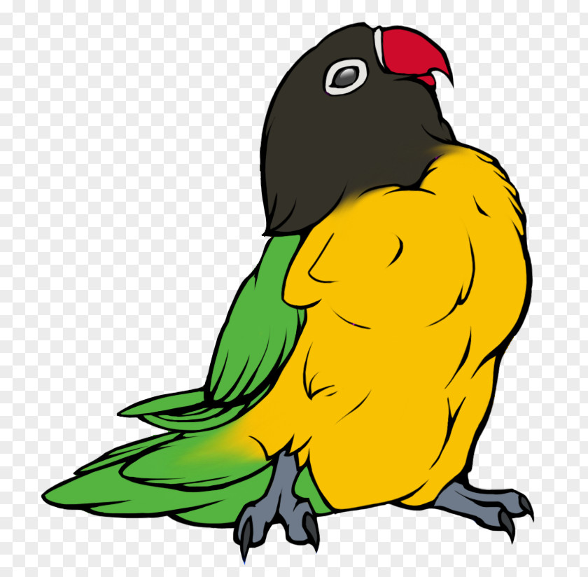 Grizzly Bear Graphics Parrot Clip Art PNG
