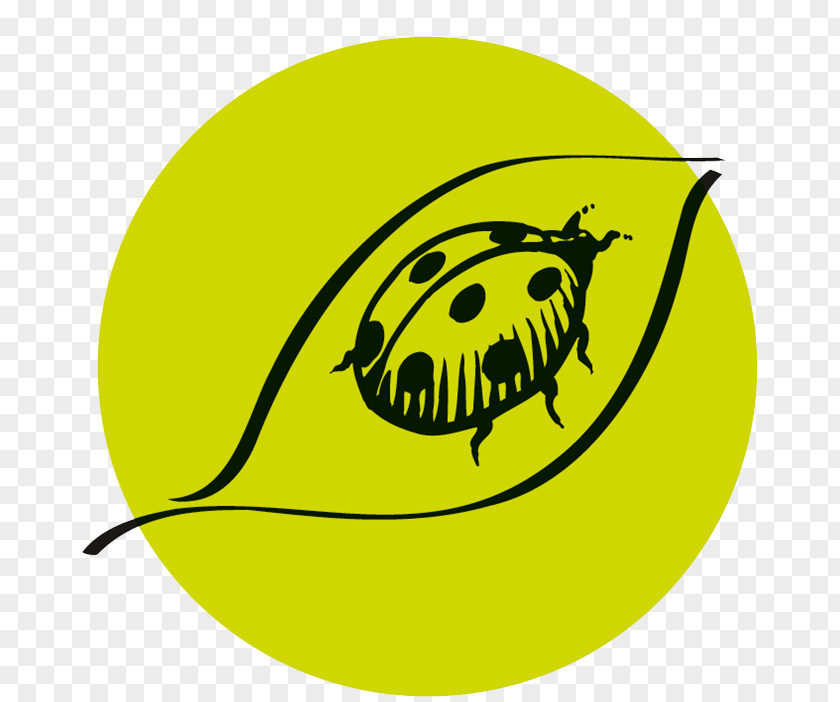 Leaf Beetle Logo Wine Background PNG