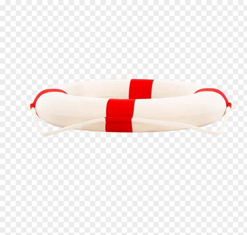 Lifebuoy Icon PNG