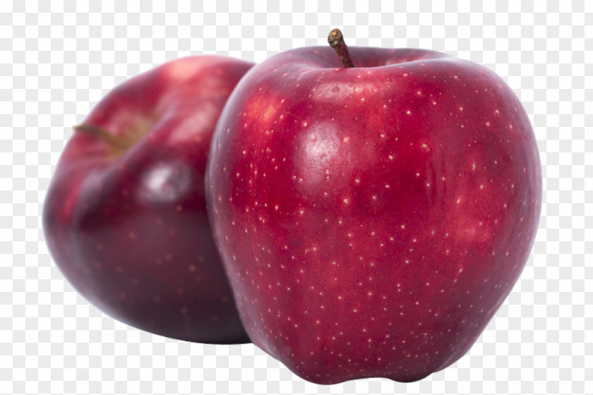 Snake Picture McIntosh Red Delicious Apple PNG