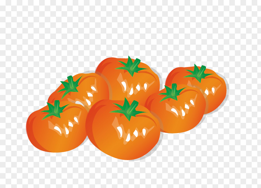 Tomato Vegetable Fruit Bell Pepper Onion PNG