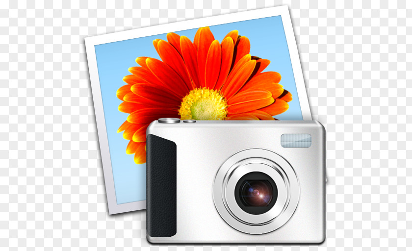 Windows Live Gallery Icon Photo Movie Maker Microsoft PNG
