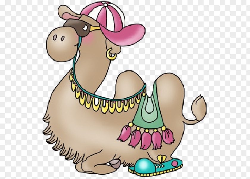 Bactrian Camel Cartoon Drawing Clip Art PNG