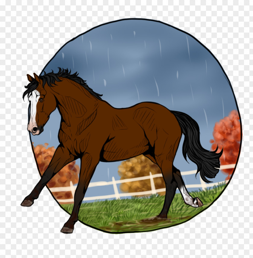 Cool Autumn Days Foal Stallion Mustang Mare Colt PNG
