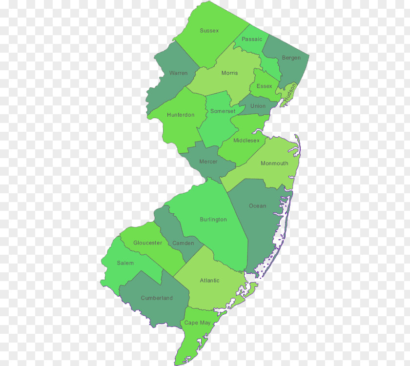 De Cape May Nj Topographic Map Pennsylvania Vector Graphics Topography PNG