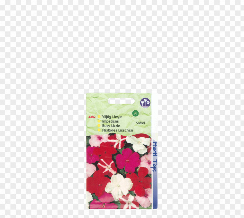 Garden Lawn Impatiens Seed Pink M Safari Touch-me-not PNG